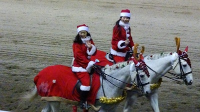 クリスマス仕様の誘導馬