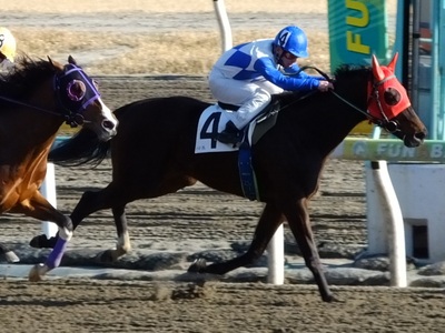 脇田創騎手（船橋）勝利！！