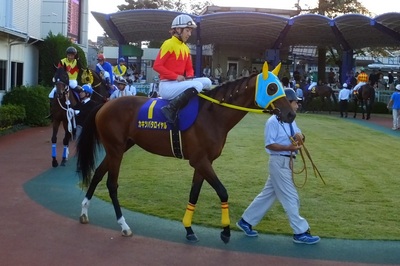 カキツバタロイヤルと中野省吾騎手