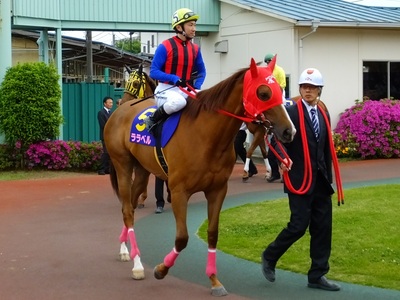 ララベルと吉原寛人騎手（金沢）