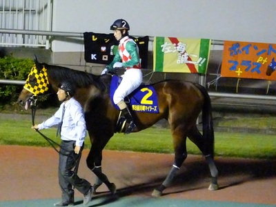 パドックでのモンサンカノープスと矢野貴之騎手