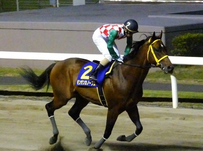 返し馬でのモンサンカノープスと矢野貴之騎手