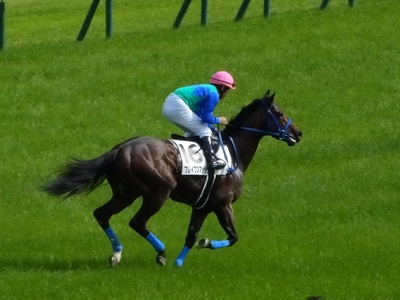 ブレイブスマッシュと横山典弘騎手