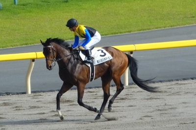 マカヒキと川田将雅騎手