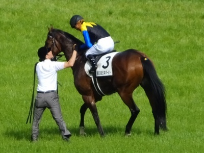 厩務員さんとガッチリ握手