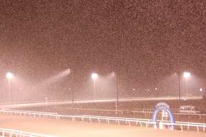 雪降るナイター競馬