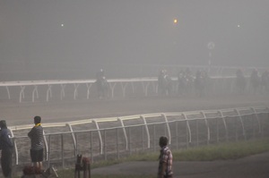 霧で直線半ばまで見えず